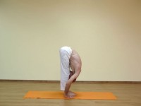 Yoga asana: 010-Uttanasana