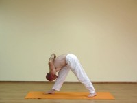 Yoga asana: 040-Parshvottanasana A