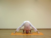 Yoga asana: 043-Prasarita Padottanasana A