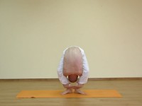 Yoga asana: 052-Tittibhasana C