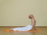 Yoga asana: 082-Urdhva Mukha Shvanasana
