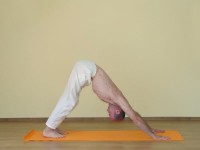 Yoga asana: 083-Adho Mukha Svanasana