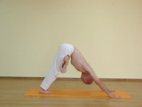 Yoga asana: 084-Trianga Adho Mukha Shvanasana