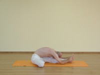 Yoga asana: 087-Janu Shirshasana