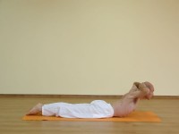 Yoga asana: 096-Makarasana