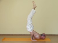 Yoga asana: 103-Uttana Shalabhasana