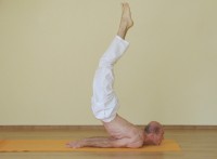 Yoga asana: 104-Viparita Shalabhasana