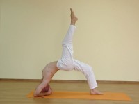 Yoga asana: 114-Eka Pada Viparita Dandasana