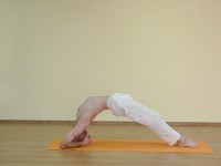 Yoga asana: 115-Dwi Pada Viparita Dandasana