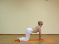 Yoga asana: 127-Marjaryasana B
