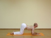 Yoga asana: 129-Marjaryasana D