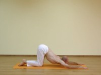 Yoga asana: 130-Marjaryasana E