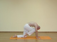 Yoga asana: 131-Vyaghrasana A