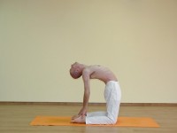Yoga asana: 136-Ushtrasana