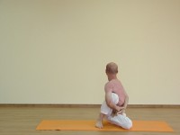 Yoga asana: 151-Marichyasana D