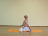 Yoga asana: 153-Bharadvajasana