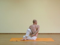 Yoga asana: 155-Ardha Matsyendrasana B