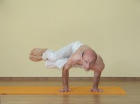 Yoga asana: 164-Parshva Bakasana