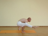 Yoga asana: 166-Eka Pada Bakasana B