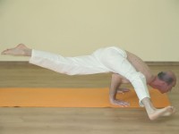Yoga asana: 169-Koundinyasana B