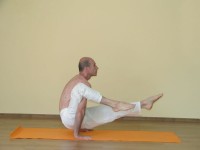 Yoga asana: 176-Eka Hasta Bhujasana