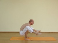 Yoga asana: 177-Dwi Hasta Bhujasana