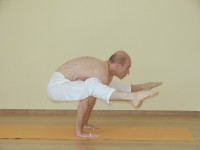 Yoga asana: 179-Tittibhasana