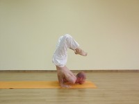Yoga asana: 180-Ardha Ganda Bherundasana