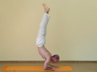 Yoga asana: 181-Pincha Mayurasana