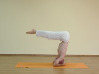 Yoga asana: 183-Ardha Salamba Shirshasana_ Urdhva Dandasana B