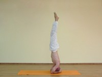 Yoga asana: 184-Salamba Shirshasana A
