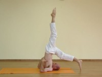 Yoga asana: 186-Eka Pada Sarvangasana