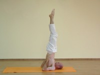 Yoga asana: 188-Salamba Sarvangasana A
