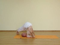 Yoga asana: 194-Parshva Halasana A