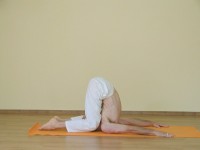 Yoga asana: 197-Karnapidasana