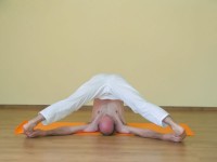 Yoga asana: 198-Supta Konasana A