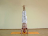 Yoga asana: 204-Mukta Hasta Shirshasana A