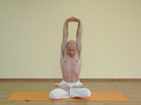 Yoga asana: 209-Parvatasana