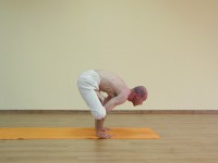 Yoga asana: 213-Urdhva Kukkutasana