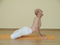 Yoga asana: 214-Padma Simhasana