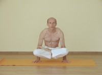 Yoga asana: 217-Tolasana