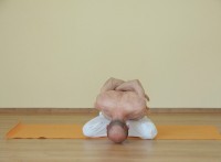 Yoga asana: 219-Yoga Mudra